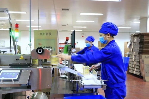 貴州百靈榮獲貴州省抗擊新冠肺炎疫情先進集體稱號，助力出入境服務